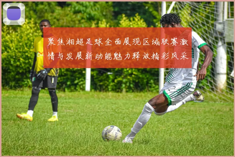 聚焦湘超足球全面展现区域联赛激情与发展新动能魅力释放精彩风采