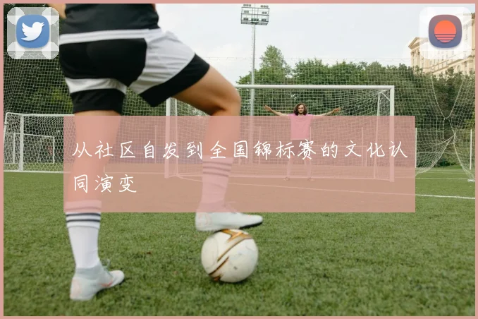 从社区自发到全国锦标赛的文化认同演变
