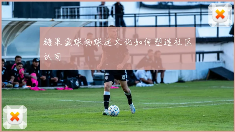 糖果盒球场球迷文化如何塑造社区认同